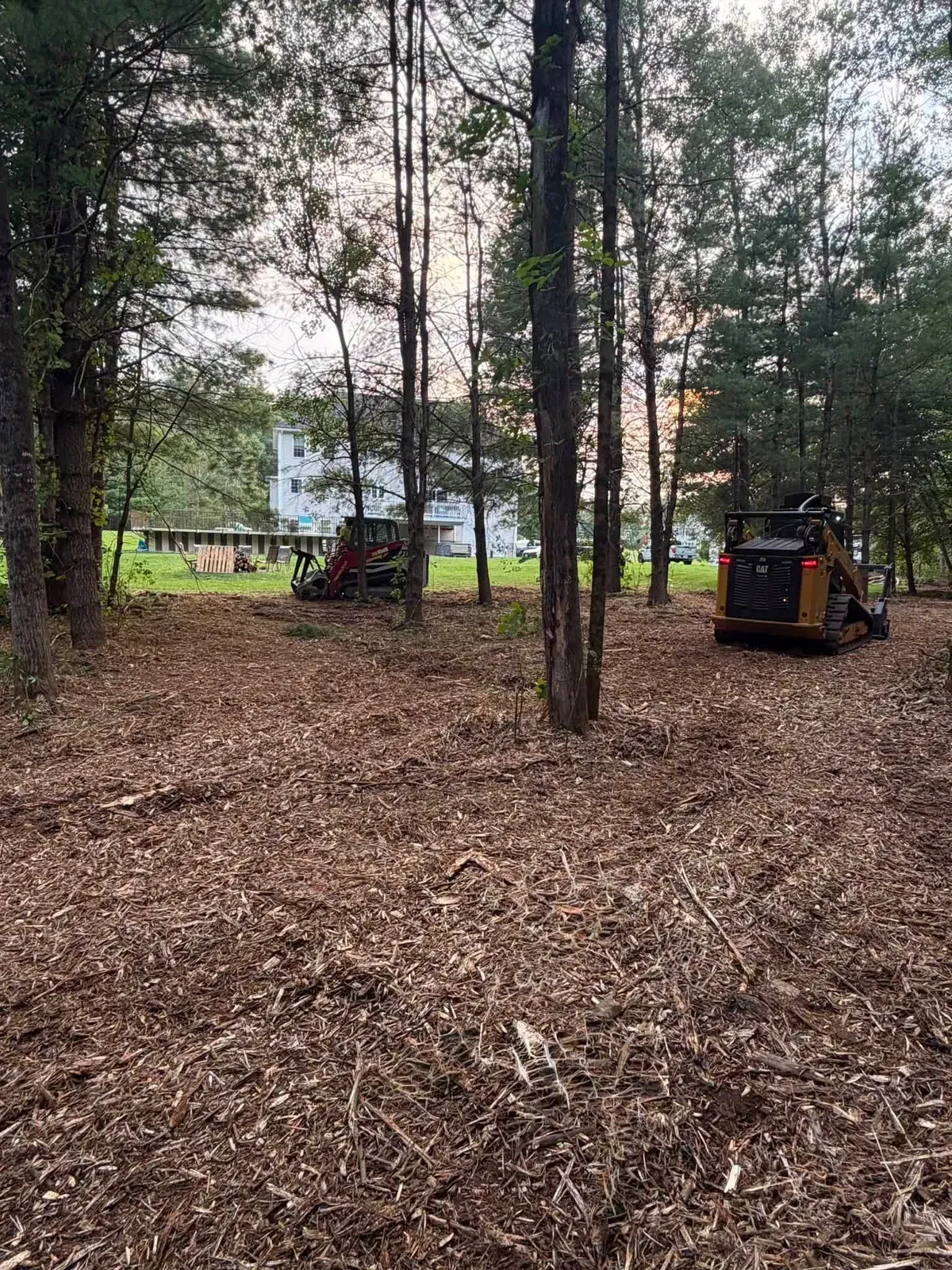 Mulched wooded lot with a forestry mulcher and houses in the background
