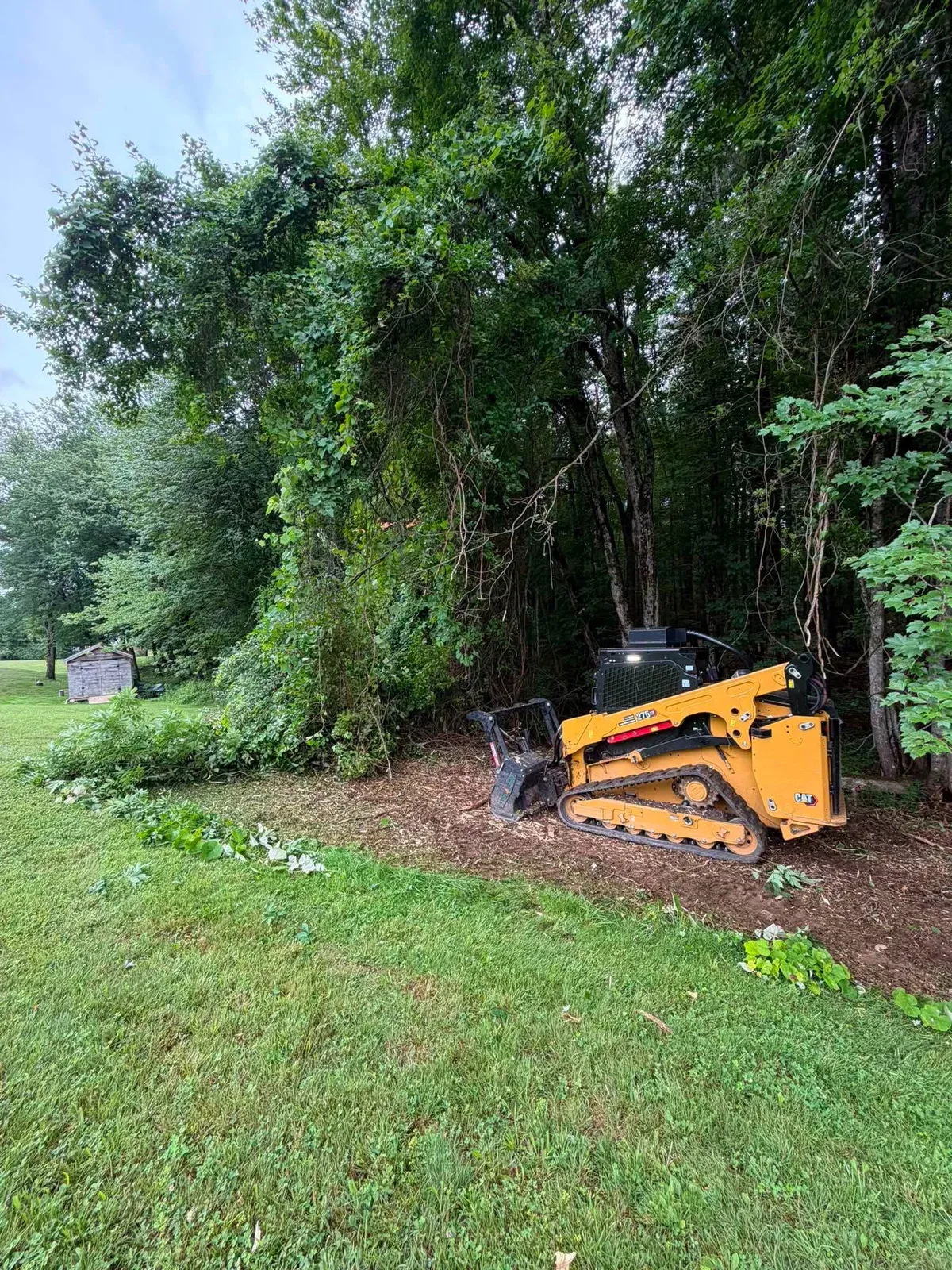 Forestry mulcher clearing an overgrown edge between a lawn and the woods