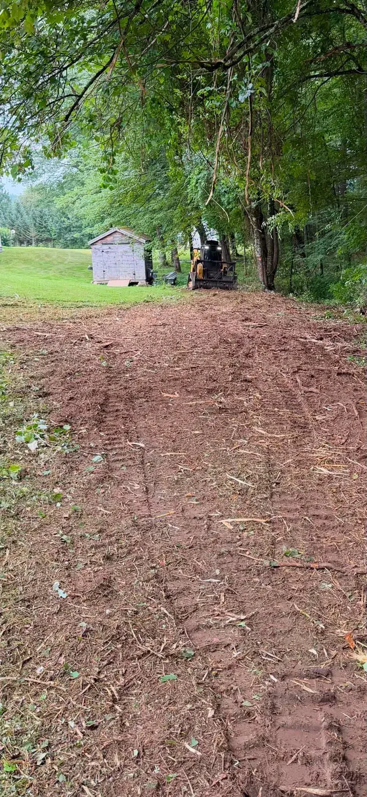 Access path cleared through brush to a backyard shed