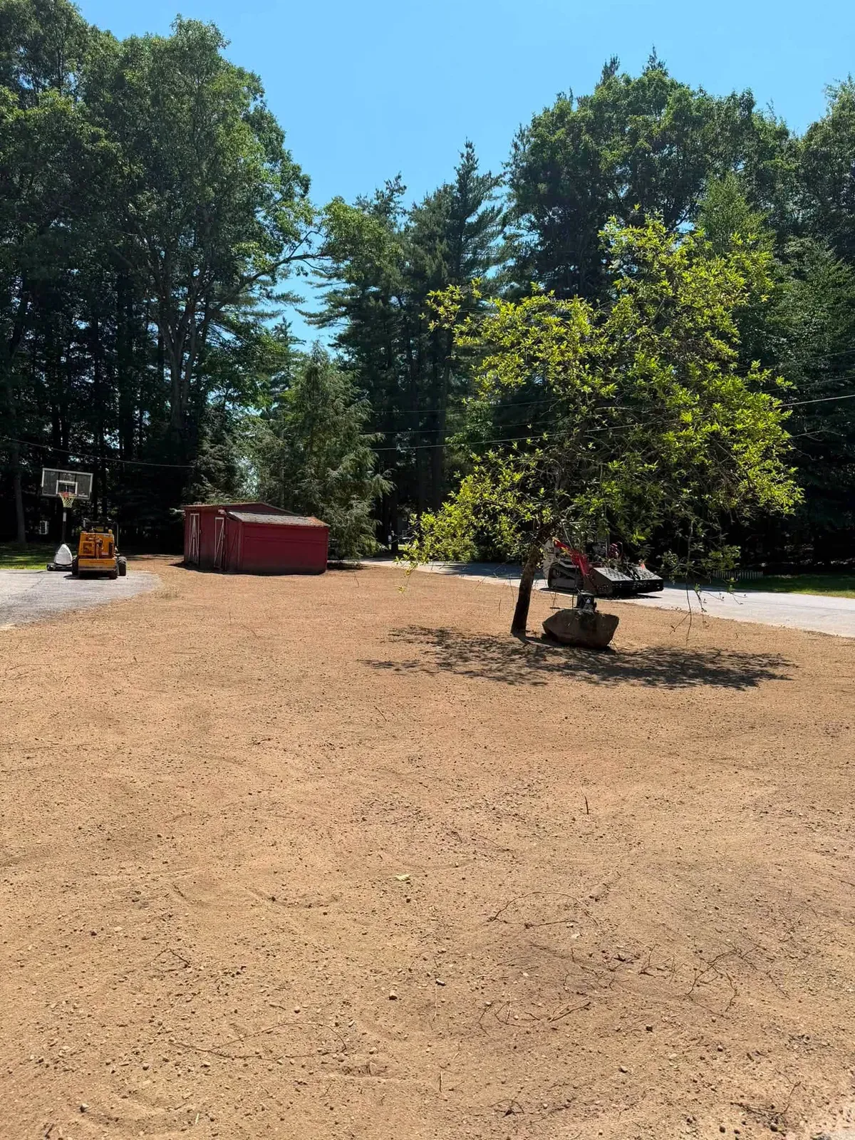Cleared and graded yard with a skid steer and shed in the background