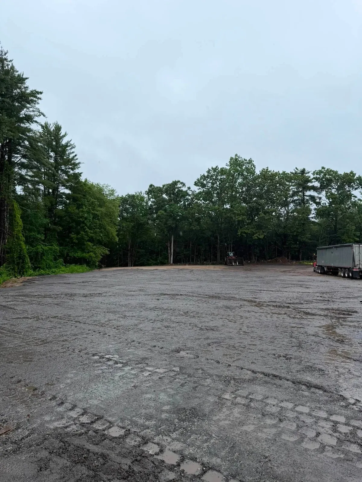 Paved lot edge cleared of brush with tree line behind