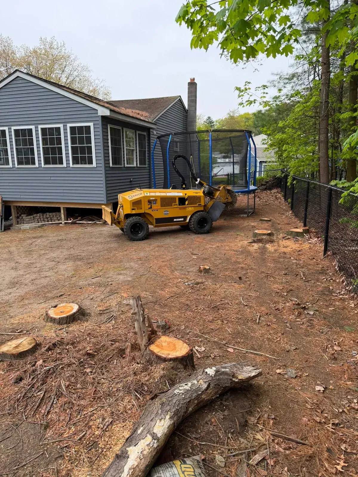 Multiple stumps and a log in a backyard next to a house with a stump grinder