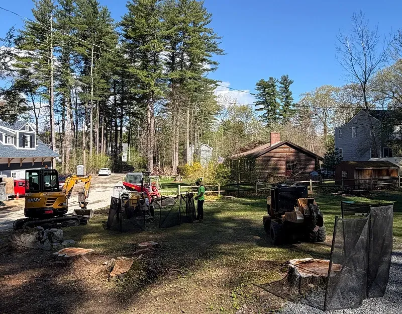 Stump N' Grind crew with a stump grinder and mini excavator working in a residential backyard