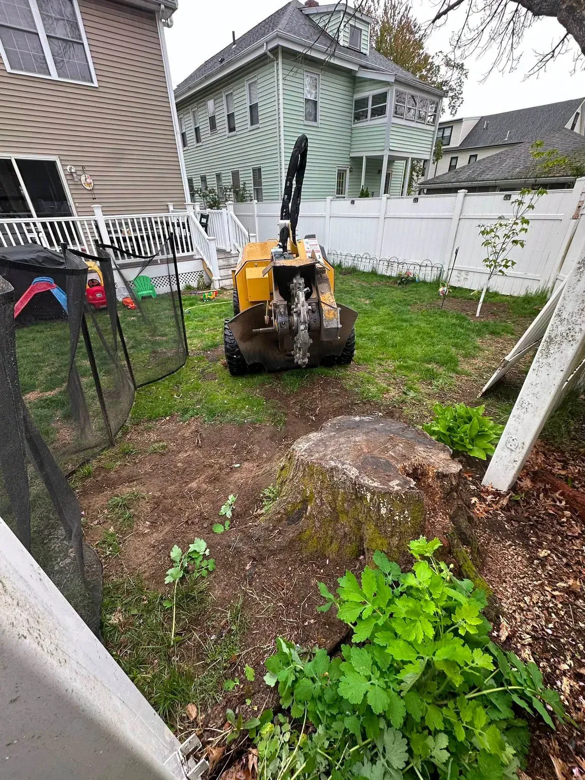 Stump grinder fitting through a tight fenced backyard to reach a stump
