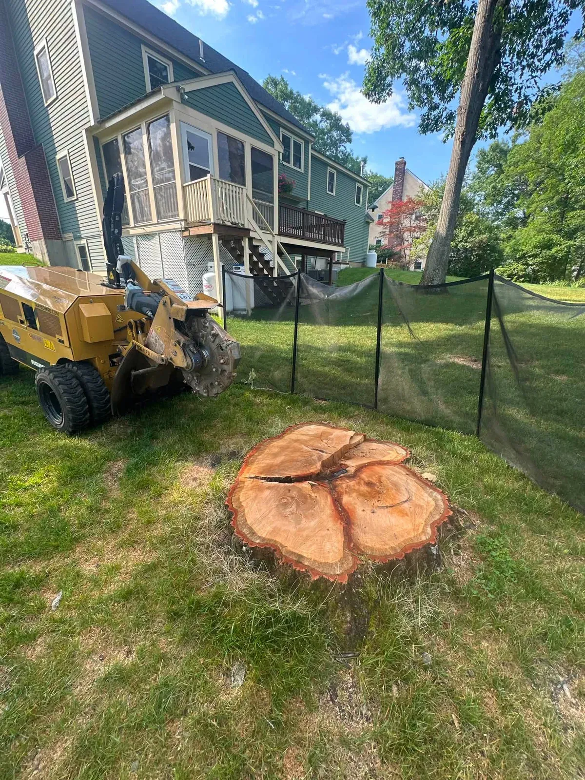 Freshly cut stump in a backyard lawn with a stump grinder behind it