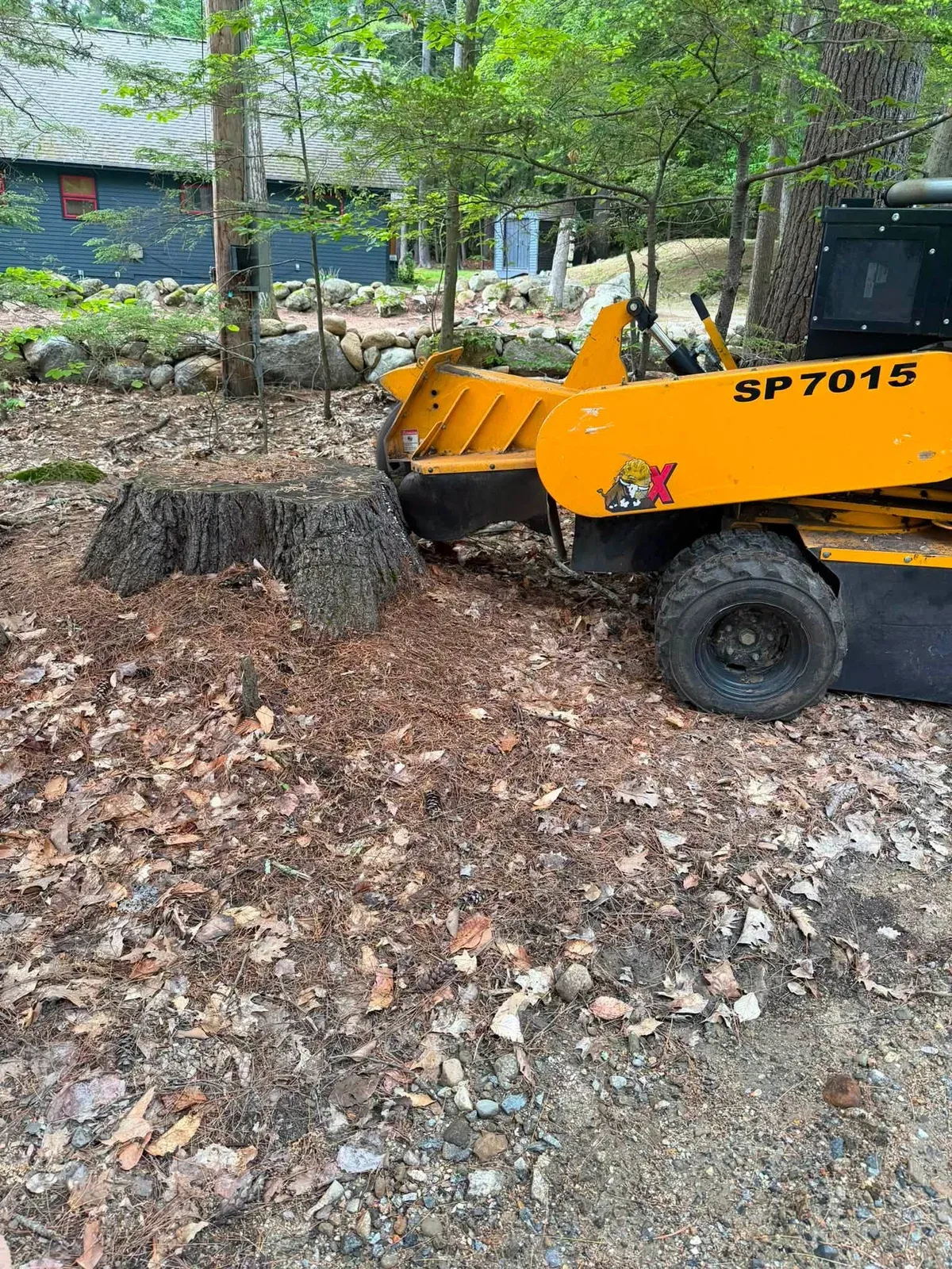 Tow-behind stump grinder next to a large stump in a rocky wooded yard