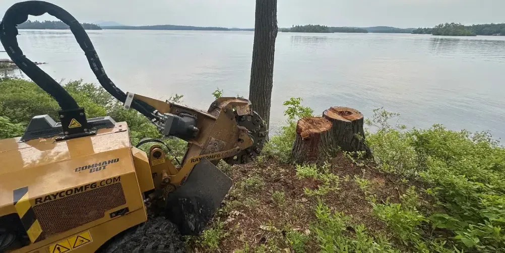 Stump grinder working on a stump at the edge of a lake