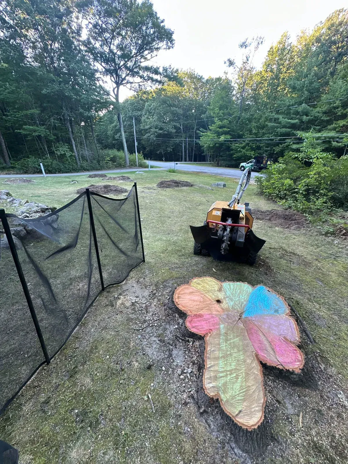 Stump marked with utility paint inside a safety screen before grinding