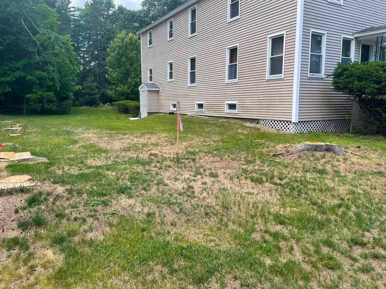 Stumps ground flush with the lawn beside a two-story house