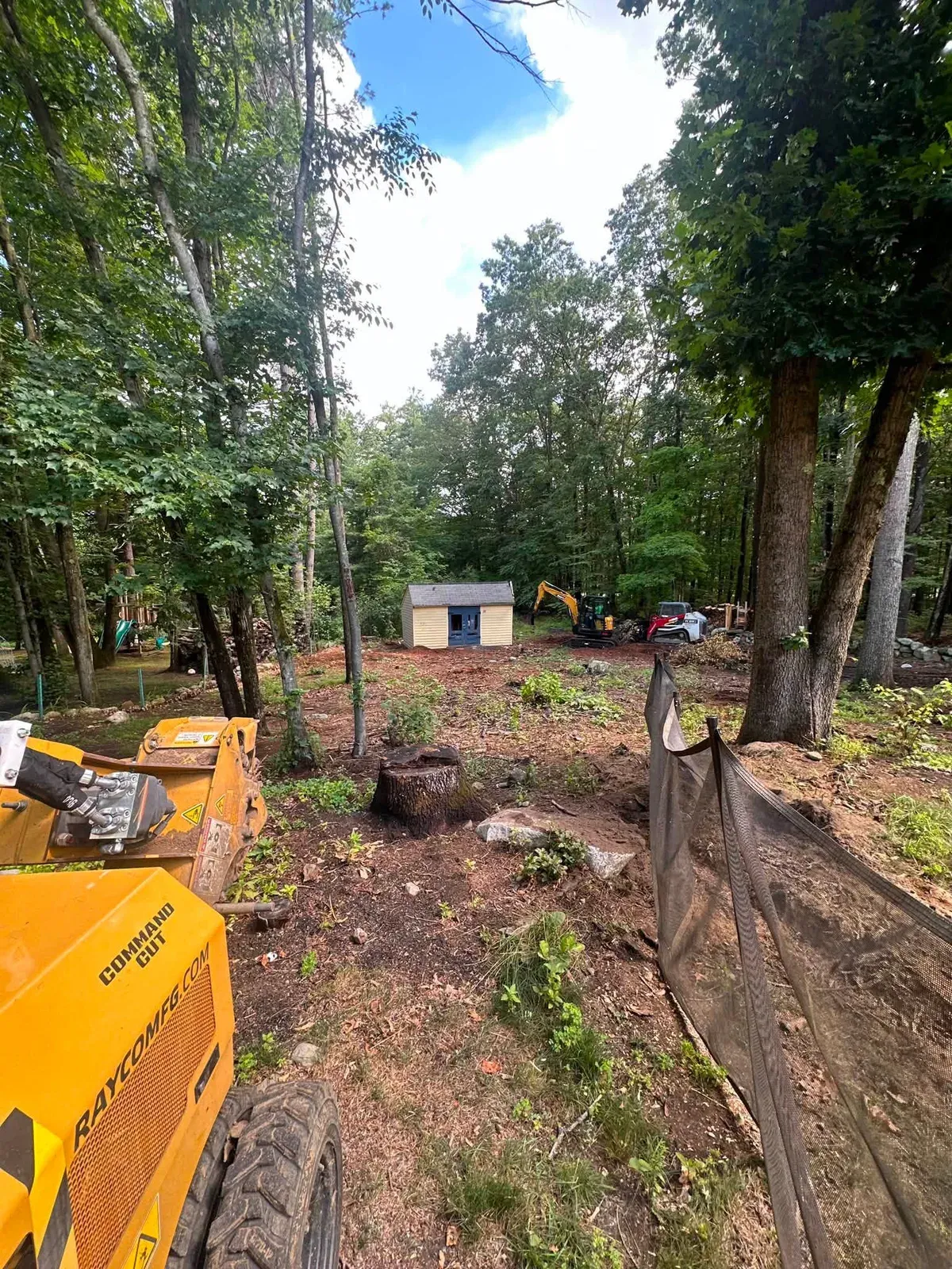 Stump grinder working through several stumps in a wooded backyard