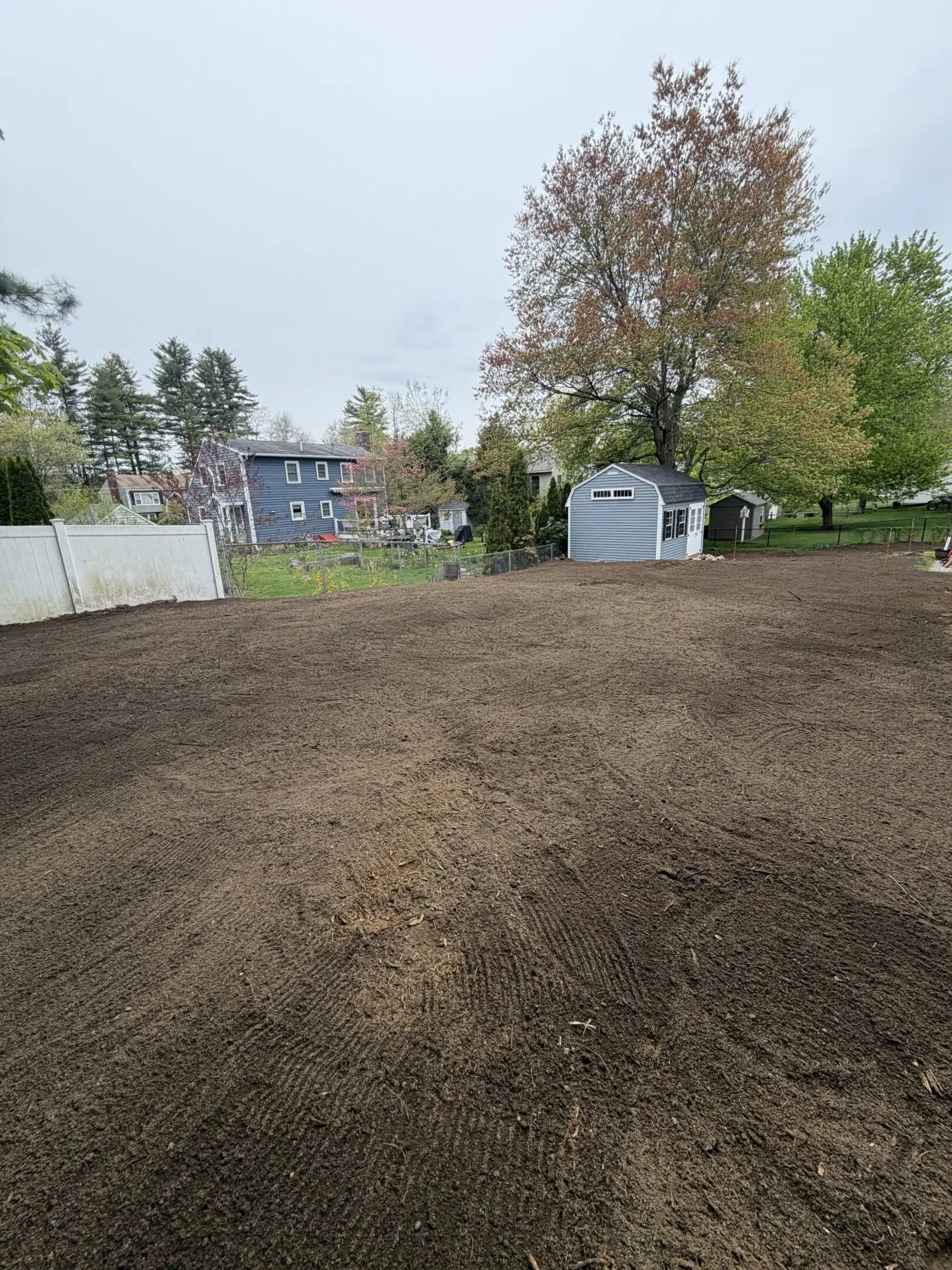 Open garden space with trees and shed