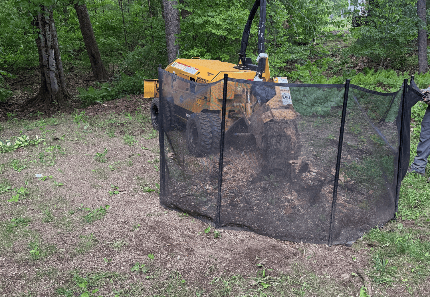 Stump removal in forest area