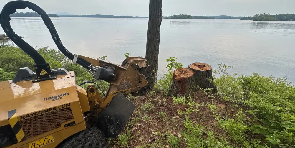Yellow stump grinder beside lakeside tree stump