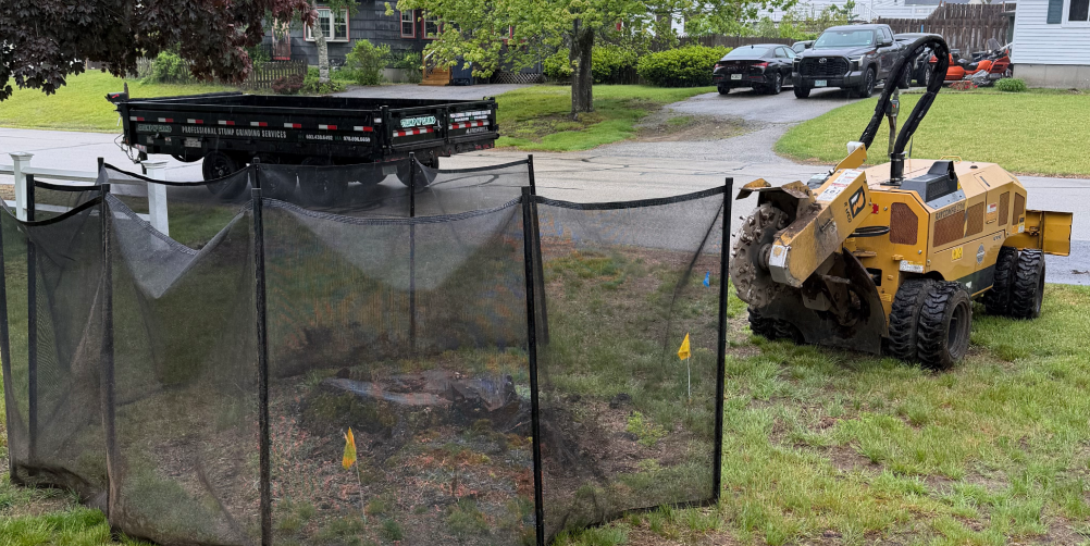 Stump Grinding Done Right